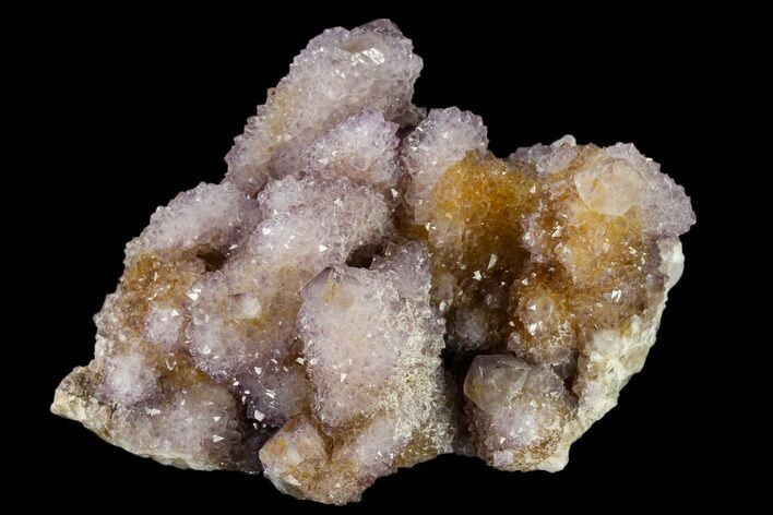 Cactus Quartz (Amethyst) Cluster - South Africa #115127